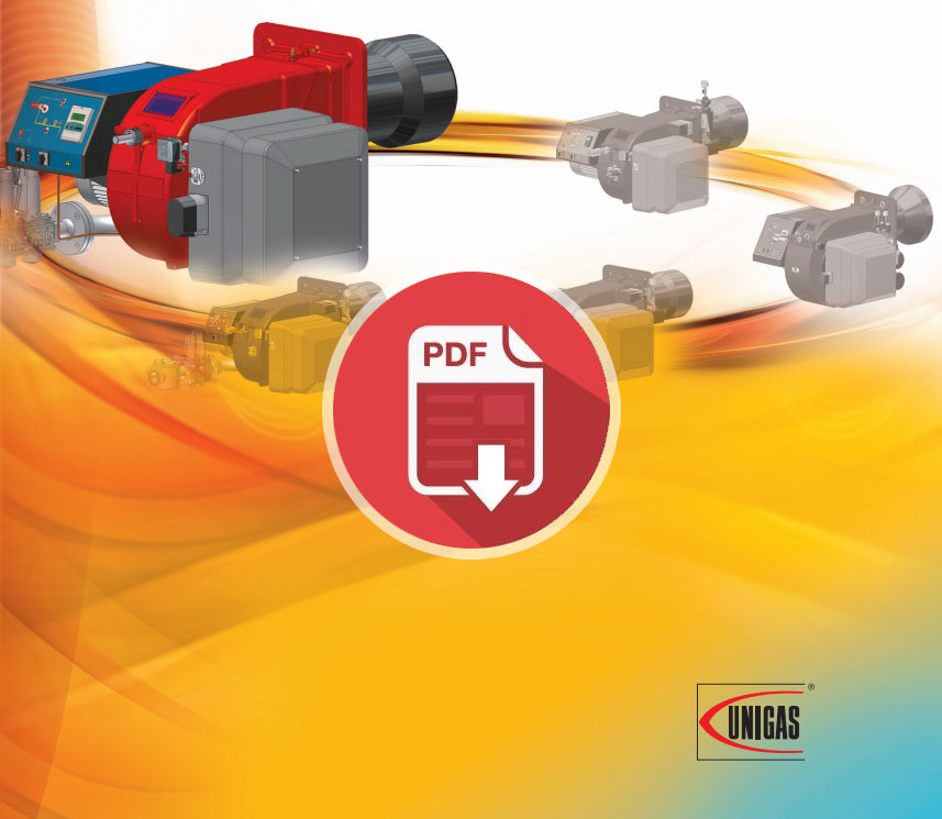 ������˹����